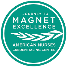 Journey to Magnet Excellence logo