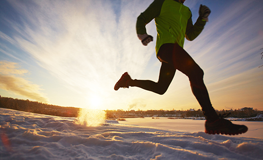 Winter 2019 Newsletter