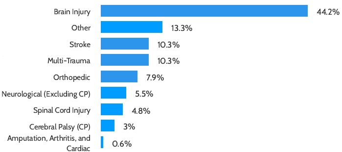 Bar chart: Patients served by diagnosis. Brain injury 44.2%, other 13.3%, stroke 10.3%, multi-trauma 10.3%, orthopedic 7.9%, neurological (excluding CP) 5.5%, spinal cord injury 4.8%, cerebral palsy (CP) 3%, amputation, arthritis, and cardiac 0.6