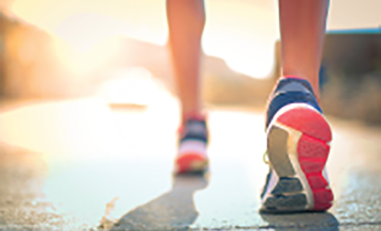 Fall 2020 Newsletter