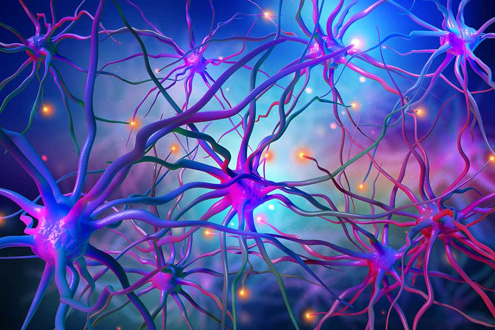 Network of brightly colored neurons.