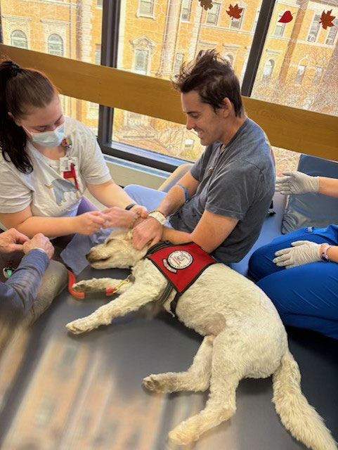 Sam pets a service dog that's flopped happily on its side.