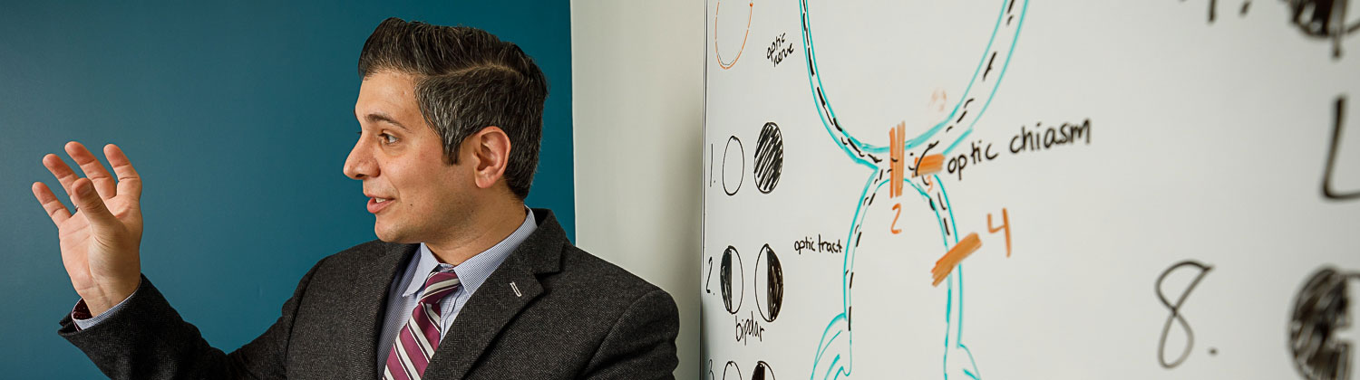 Doctor presenting research in front of a whiteboard