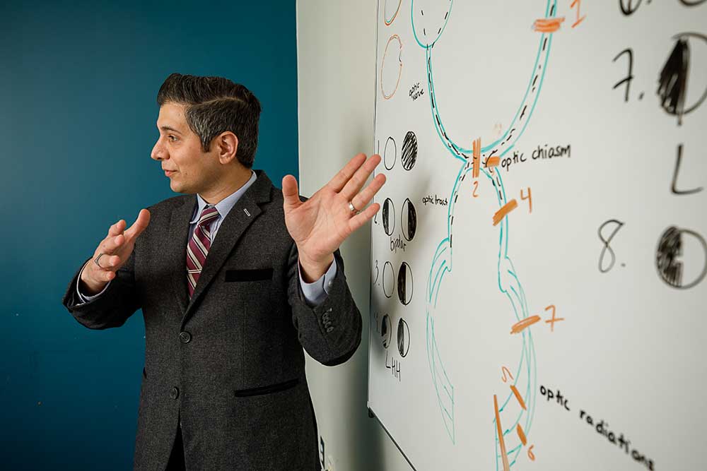 A lecturer gestures to a whiteboard covered with drawings of the optic nerve.