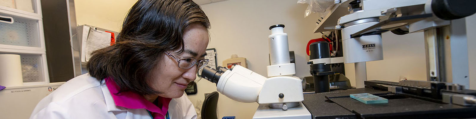 Image of Research at Spaulding